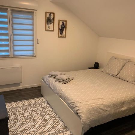 Coquet Appartement Aux Pieds Des Montagnes Scionzier Екстер'єр фото