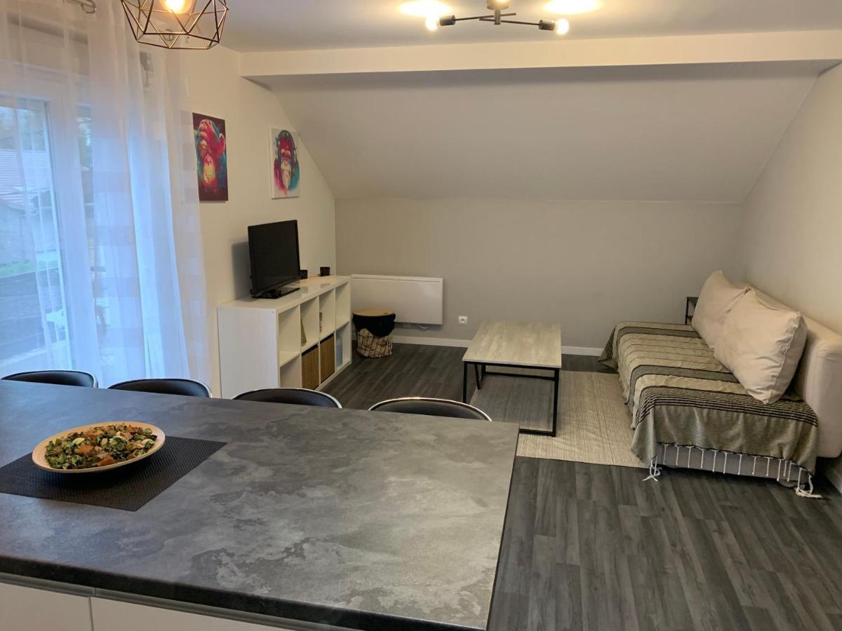 Coquet Appartement Aux Pieds Des Montagnes Scionzier Екстер'єр фото